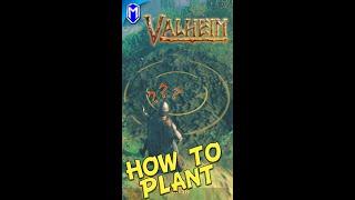 How To Plant Carrots Planting Plants With The Cultivator - Valheim Tutorials - #Shorts