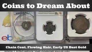 Coins to Dream About - Chain Cent Flowing Hair Early US Bust Gold