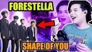 FORESTELLA Shape of You   Análisis  Reacción  Vocal coach