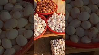 Egg   #egg #cooking #countryside #food #streetfood #market #fishing