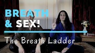 Breath and Sex The Breath Ladder