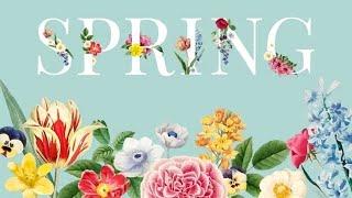 Spring Awakening Soothing Music and Birdsong for a Peaceful Mind