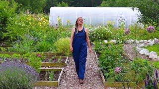 The Garden in July  Garden Tour Propagating Lavender and Planting Berry Bushes