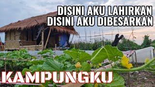 INDAHNYA KAMPUNG HALAMANKU