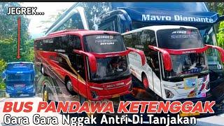 MERINDING‼️Tak mau antri di tanjakan Akhir nya bus Pandawa ketenggak di tanjakan