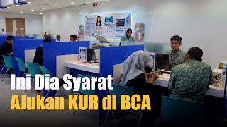 Syarat Mengajukan Pinjaman KUR Bank BCA 2024 Limit dan Suku Bunga KUR BCA  Kontan News