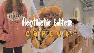 aesthetic filter tutorial  capcut filter preset