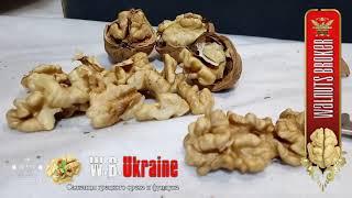 Грецкий орех Кочерженко светлое ядро от Walnuts Broker #ГрецкийОрехКочерженко