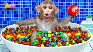 KiKi Monkey bath in the Rainbow BathTub full of M&M candy and play with ducklings  KUDO ANIMAL KIKI