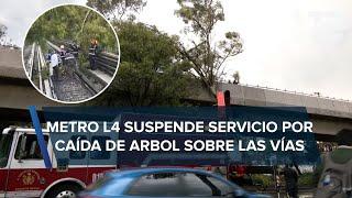 Árbol cae sobre las vías del metro suspenden servicio en Línea 4