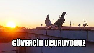 Uzun Zamandan Sonra Merhaba  Kuşçular