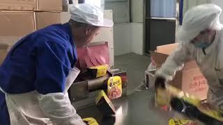 instant noodle bowl film wrapping shrinking Packing machine