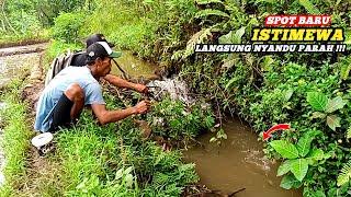 Mancing ikan wader babon di parit sawah spot baru langsung jackpot bertubi tubi