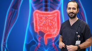 Bağırsak Sağlığı için Önerileriniz Nelerdir? - Gastroenteroloji Uzmanı Doç. Dr. Hakan Demirci