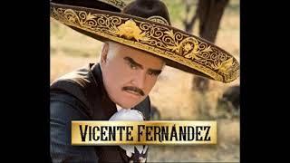 INGRATO AMOR - VICENTE FERNANDEZ