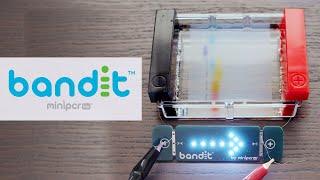 Introducing Bandit™ from miniPCR bio™