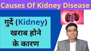 What are The Causes of Kidney Failure Explained in Hindi  Kidney Kharab Hone ka Karan