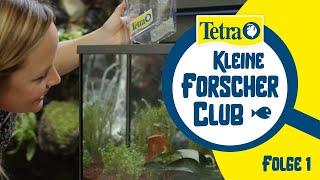 #Aquarium für Einsteiger  Tetra Kleine Forscher Club