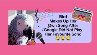 Bird Makes Up Her Own Song After Google Didnt Play Her Favorite Song  #animals #pets #birds #funny