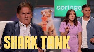 Something Isnt Adding Up With Springer    Shark Tank US  Shark Tank Global