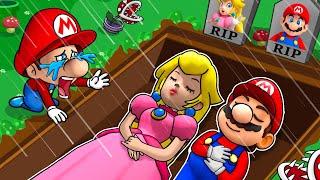 Goodbye All Family...Poor Baby Mario Life - Baby Mario Sad Story - Super Mario Bros Animation
