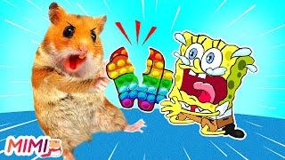 Stop It Hamster vs SpongeBob Pop It Battle & escape Amazing Maze Challenge   HAMSTER MIMI