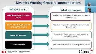 Improving gender representation and diversity in the forest sector