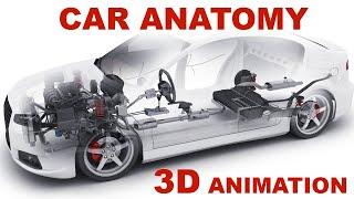 Сar anatomy The Basics  How cars work? 3D animation