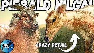 We Found A Piebald Nilgai And They Are Stunning   The Hunter Call Of The Wild