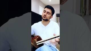 گفتم غم تو دارم ابوعطا به یاد استاد محمدرضا لطفی Mohamad Reza Lotfi #music