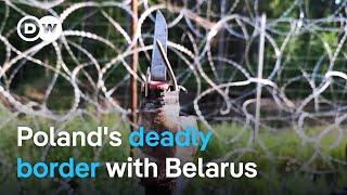 Poland-Belarus border row Hybrid warfare or refugee crisis?  Focus on Europe