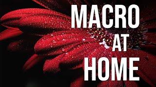 This easy macro idea is AMAZING to try at home Tutorial with lighting focus stacking