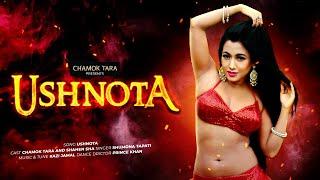 Ushnota  Chamok Tara  Shahen Sha  Bangla New song 2021  Official Video 