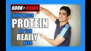 Find Out The How Much Protein Your Body Needs  Muscle Building  BeerBiceps Fitness