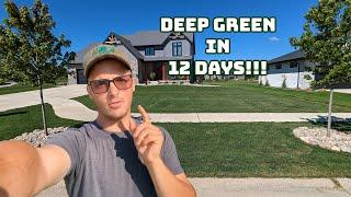 How & When to Apply N-Ext™ Greene Charge Greene Effect Greene Kick & D-thatch