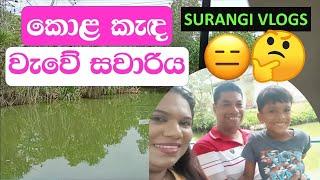 කොළ කැඳ වැවේ ජොලියක් දැම්මා  Guruge Park Jaela Surangi Vlogs