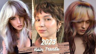 Summer 2023 Hot Hair Ideas for Women  Color Blocking Hair  Extra Long Layers  Shaggy Lobs & More