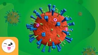 What is a virus? - Viruses for children -  Science for Kids