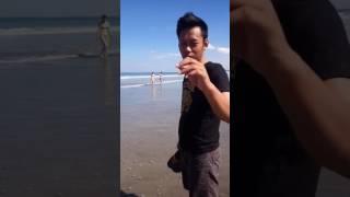 Liat BULE di pantai KUTA