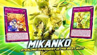 STEALING OPPONENT MONSTER TO WIN NEW MIKANKO SUPPORTS IS CRAZY GOOD Master Duel