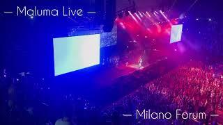 HP - Maluma Live Milano Forum 2022