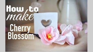 How to make paper flower  Sakura Cherry Blossom