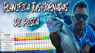 ▶TUTORIAL WINDGURU Planifica tu JORNADA de PESCA LUBINAS a SPINNING desde costa.