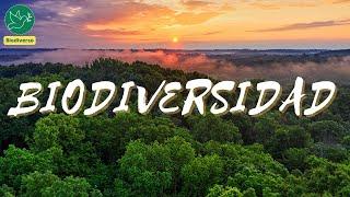¿Qué es la Biodiversidad?  Cuál Es La Importancia De La Biodiversidad  4K  #Biodiverso
