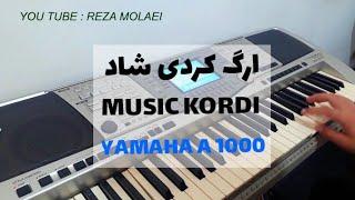 اجرای آهنگ کردی با ارگ  آهنگ کردی شاد شاد  Persian Music Kordi 