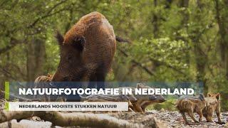 Natuurfotografie in Nederland