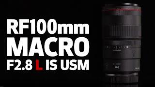 Go Macro with the Canon RF100mm F2.8 L MACRO IS USM Lens