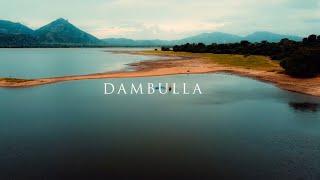 Dambulla Sri Lanka  Jetwing Lake  Cinematic Video