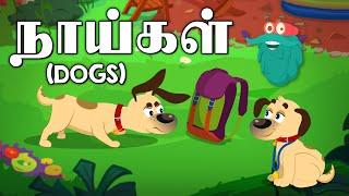 நாயின் மோப்ப சக்தி  Dogs Smelling Power  Dr. Binocs Tamil  Kids Learning Video