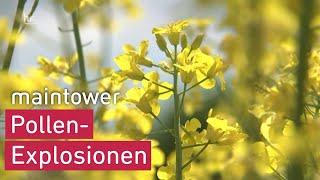 Pollen-Explosionen  maintower